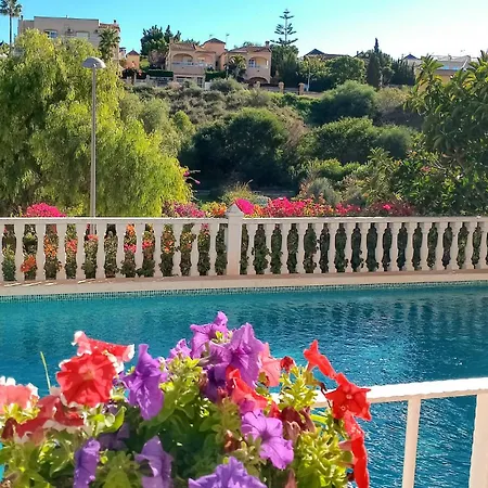 Amazing In With Kitchen Apartment Torrevieja